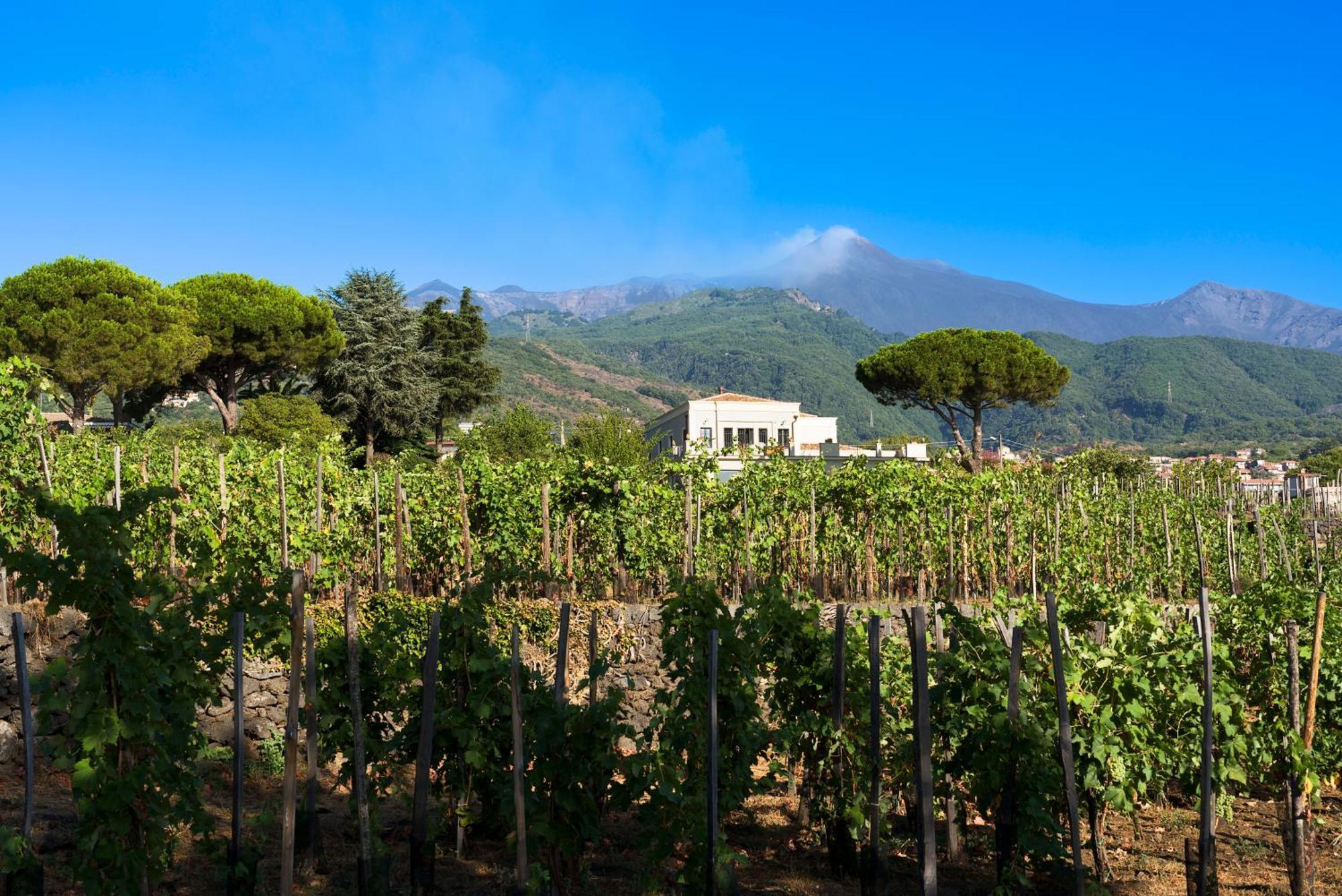 Locanda Quinto Arco Цафферана-Этнея Экстерьер фото